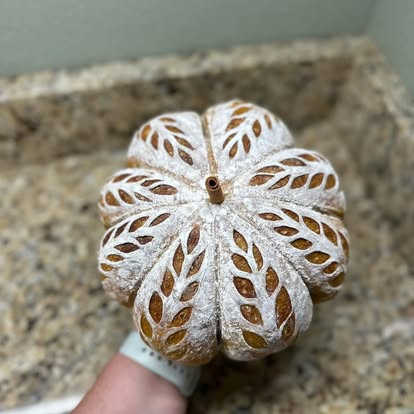 A pumpkin-shaped sourdough loaf with decorative scoring.